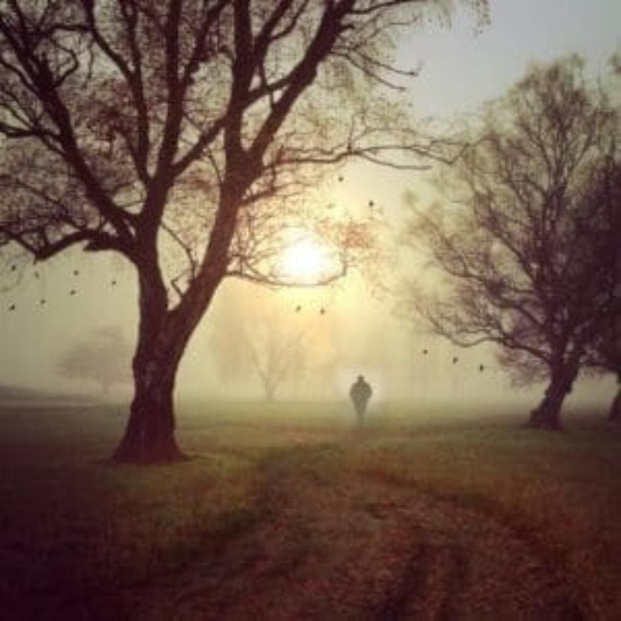 A man is walking down a path at sunrise in a foggy park with birds flying around. This illustrates him moving forward on his path.