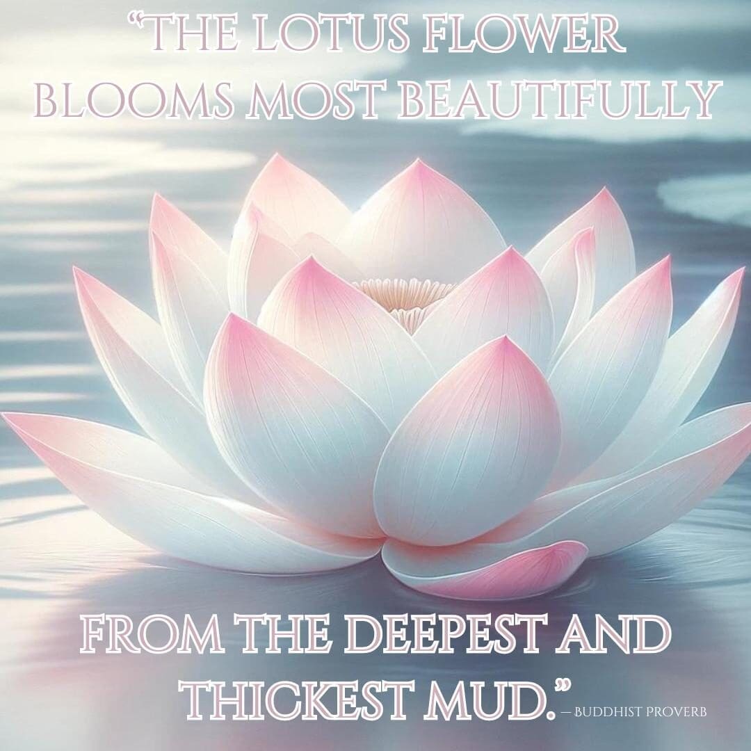 A pink and white lotus flower on a serene blue pool with a quote that reads "The lotus flower blooms most beautifully from the deepest and thickest mud." — Buddhist Proverb