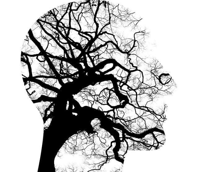 The side view of a face with tree branches inside the outline representing pathways and thoughts that lead to negative thinking, like what is wrong with me.