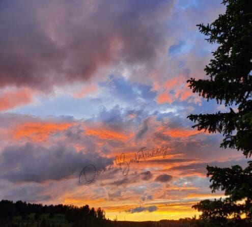 A photo of the Montana skyline.