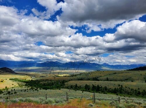 A photo the author took of the Montana skyline.