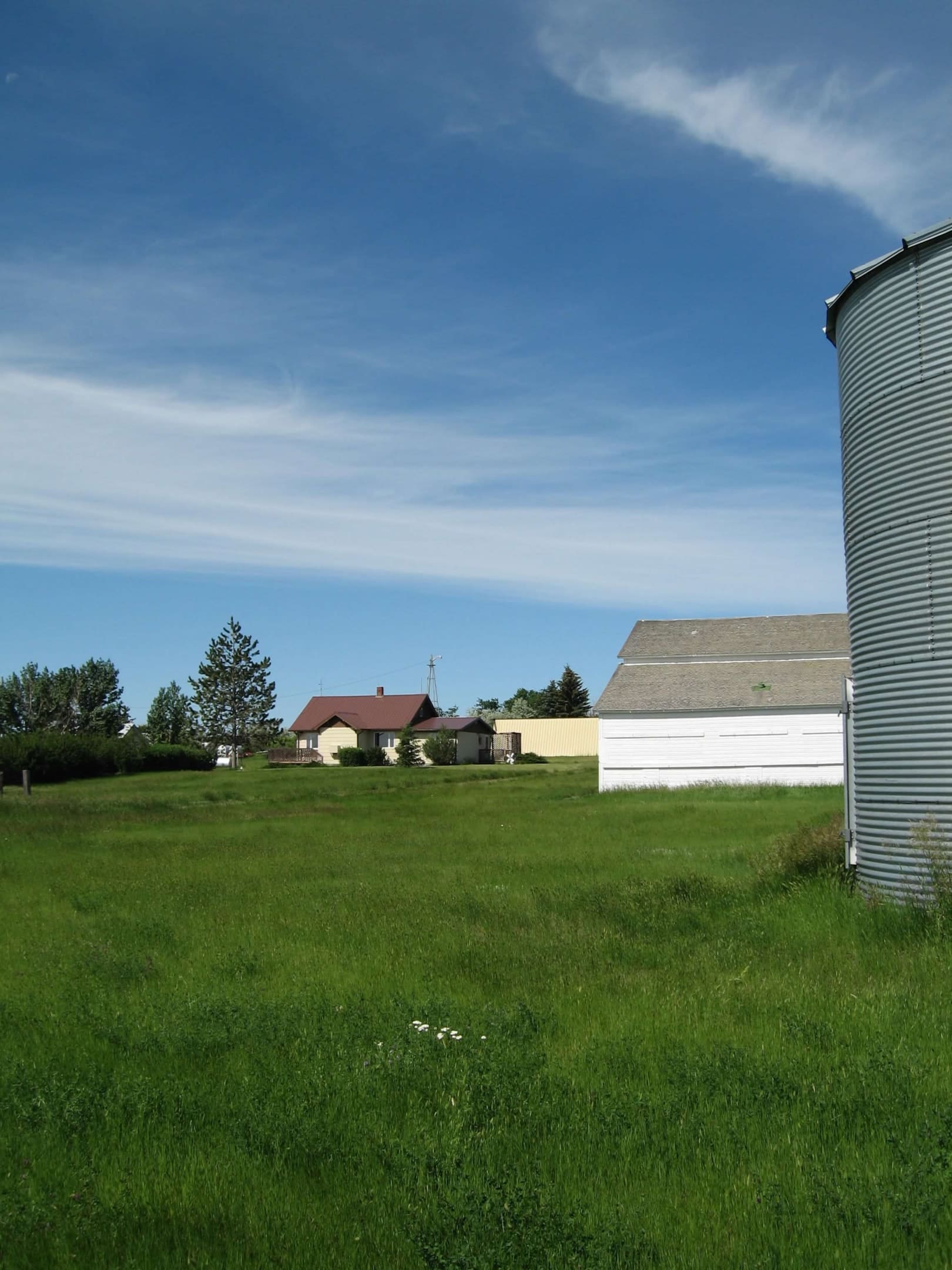 A view of the farm where the author's Grandma and Grandpa lived.