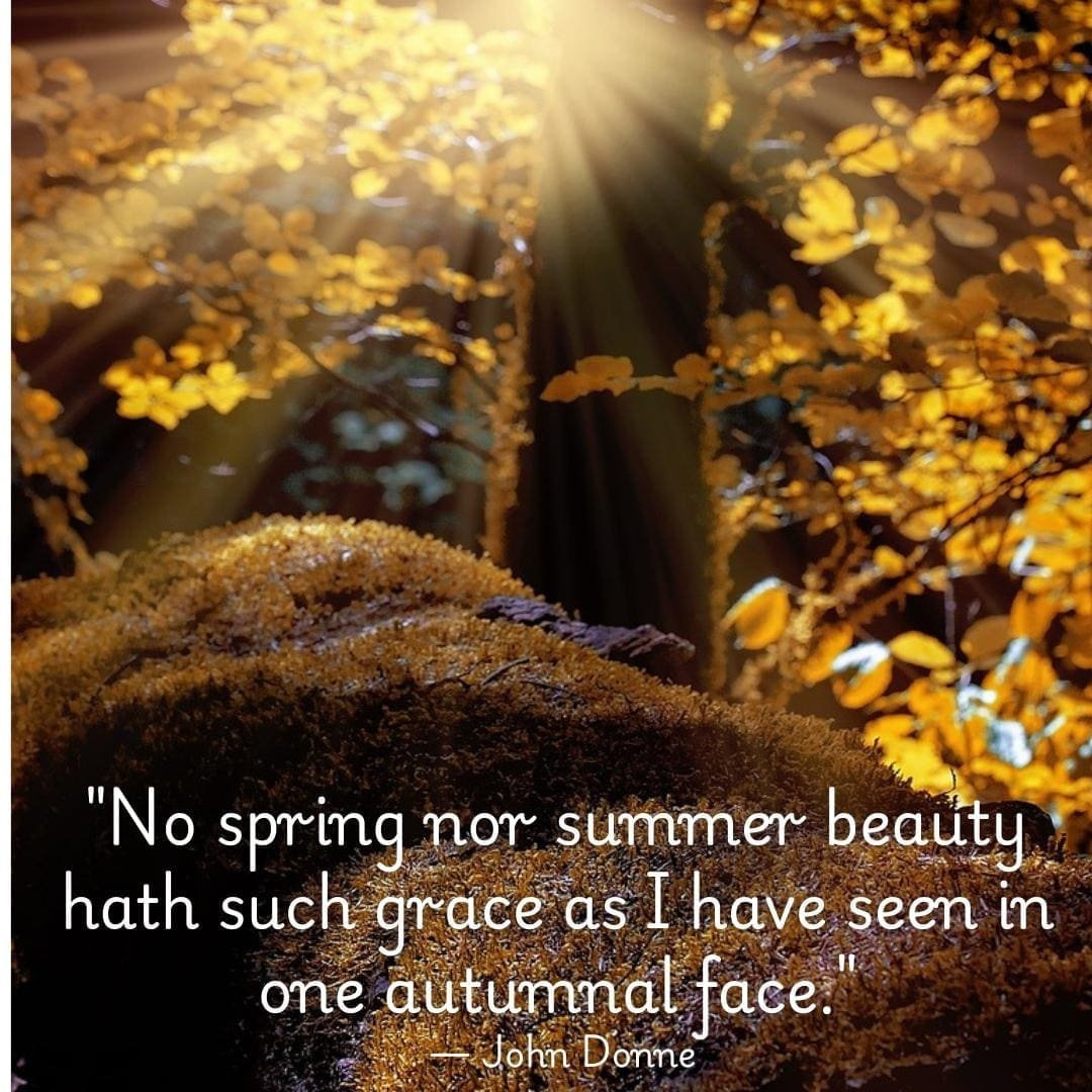 "No spring nor summer beauty hath such grace as I have seen in one autumnal face." — John Donne