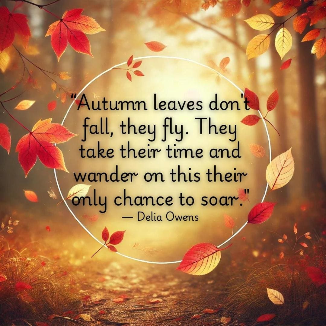 Quote: “Autumn leaves don't fall, they fly. They take their time and wander on this their only chance to soar." — Delia Owens