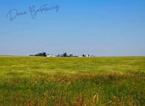 A green field and a farm homestead, taken by the author. The farm will be something she misses dearly after moving away.