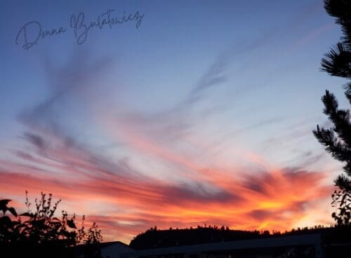 A photo taken by the author of a pink, orange, and red sunset in Montana, the state she is moving away from.