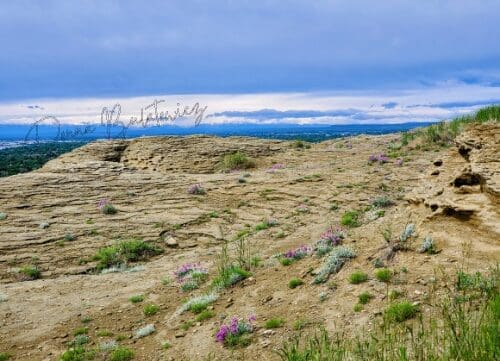 A photo the author took from the top of a mountain. The sky is bright blue and there are purple flowers along the rocky ledge.