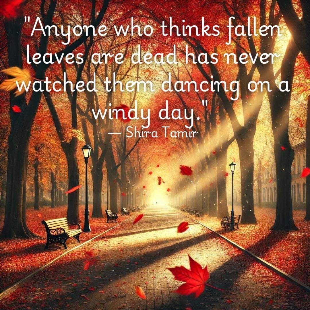 Autumn quote: "Anyone who thinks fallen leaves are dead has never watched them dancing on a windy day." — Shira Tamir