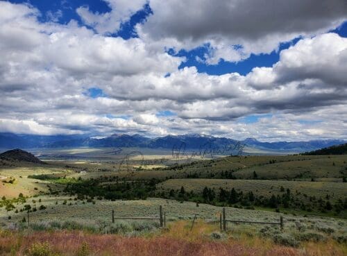 Another photo of a Montana field and mountain skyline taken by the author.