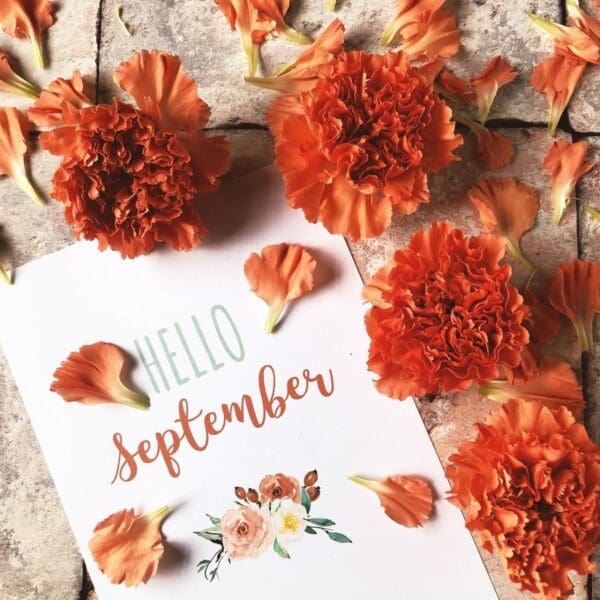 32 Beautiful September Quotes for Our Love Affair with Fall