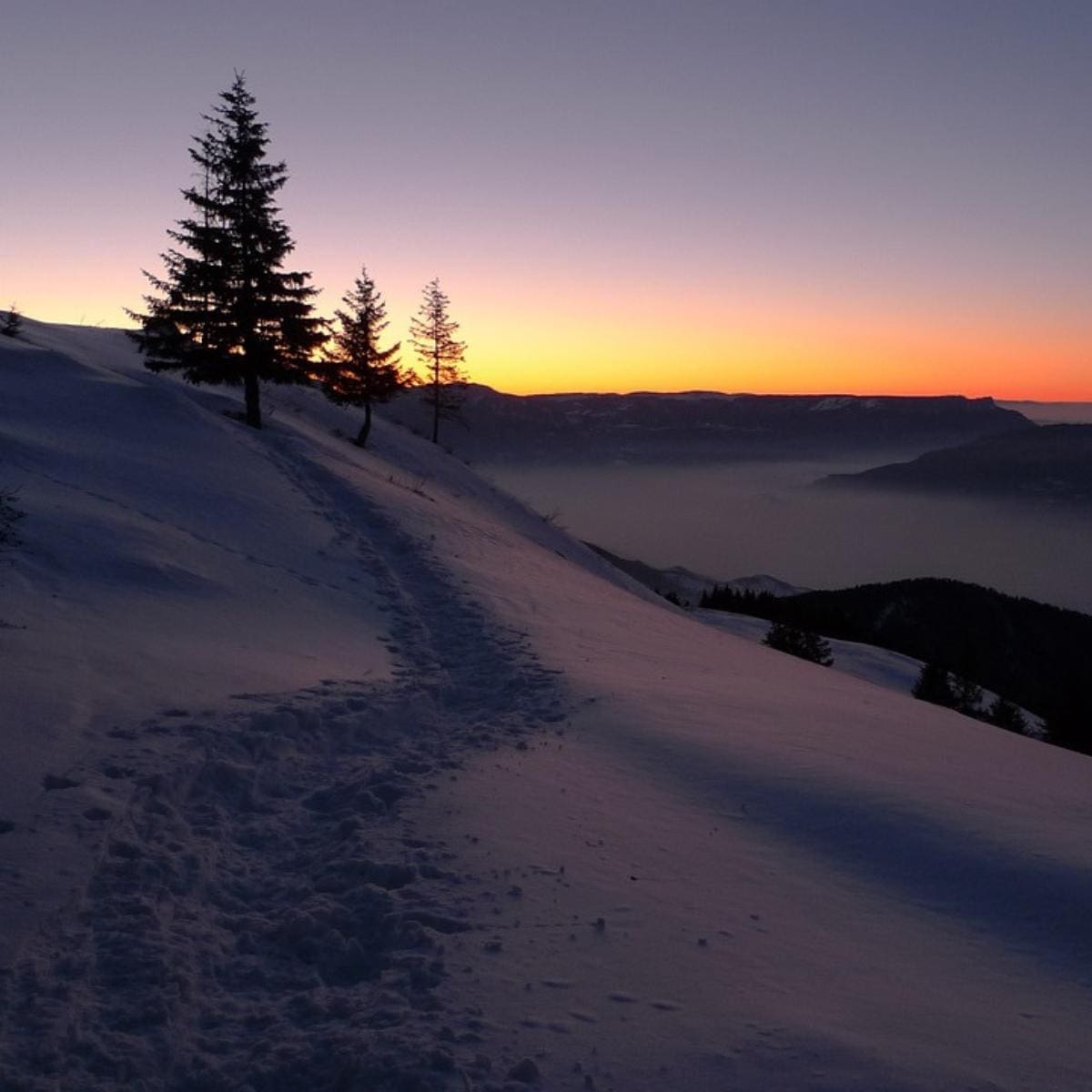 Photograph of sun going down over the horizon on winter solstice. 