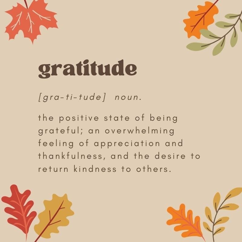 The word "gratitude" appears like it would in a dictionary with the pronunciation and then the word noun. It is followed by the defininition: The positive state of being grateful; an overwhelming feeling of appreciation and thankfulness, and the desire to return kindness to others.